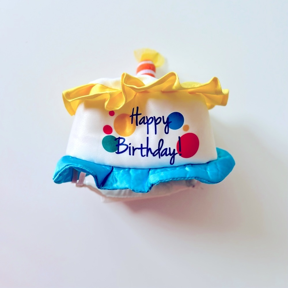 HAPPY BIRTHDAY PET HAT • Party Celebration • Dog Clothes • White Blue Yellow NEW